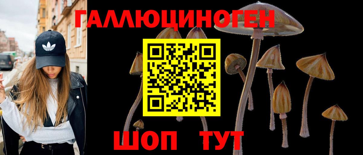 Галлюциногенные грибы Psilocybine cubensis  Вход с VPN  Нурлат  Галлюциногенные грибы ЛСД 