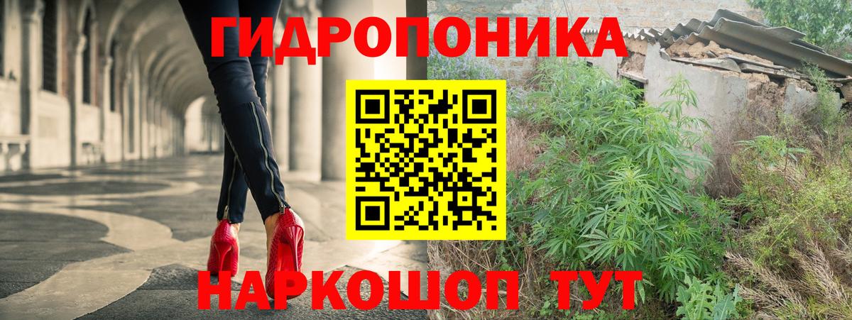 Бошки Шишки гибрид  Вход с VPN  Конопля Amnesia  Нурлат  Бошки Шишки семена 